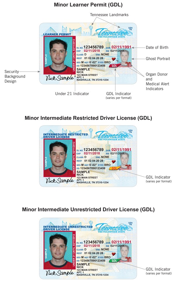 Renew drivers license locations mn